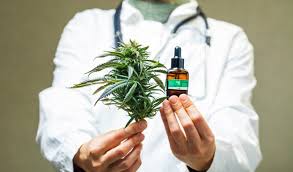 Governo de SP vai começar a distribuir remédios à base de cannabis no SUS a partir de maio