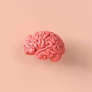 Cinco truques de uma neurocientista para fortalecer a memória