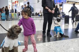 Perros adiestrados para desestresar a los pasajeros en el aeropuerto