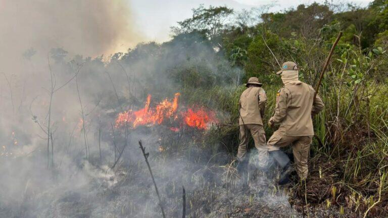 Chuvas abaixo da média no Pantanal apontam para seca severa e alto de risco de incêndio neste ano