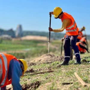 Personas privadas de libertad realizarán trabajo comunitario en el “Plantaton Paraguay 2024”