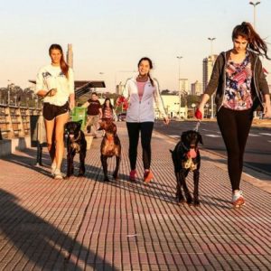 Pronostican jornada agradable para hoy